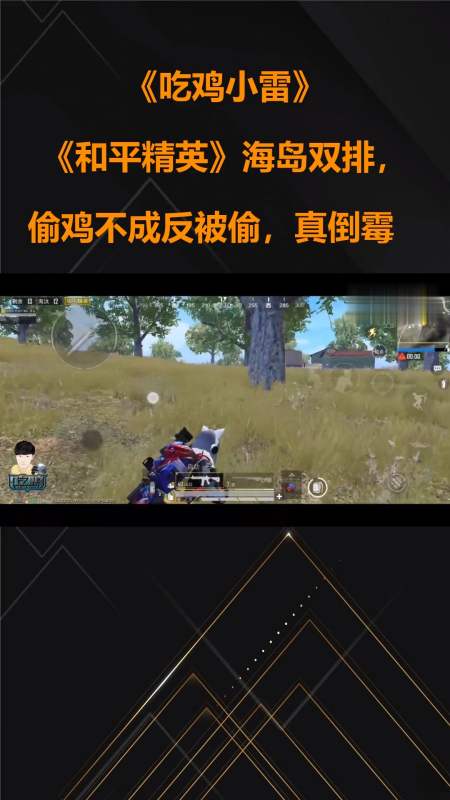 吃鸡小雷:《和平精英》海岛双排,偷鸡不成反被偷,真倒霉
