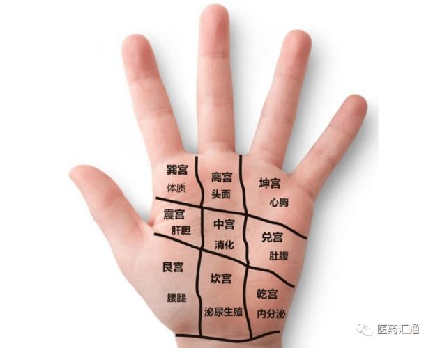 有一种手诊法,一上手就知道是什么病!