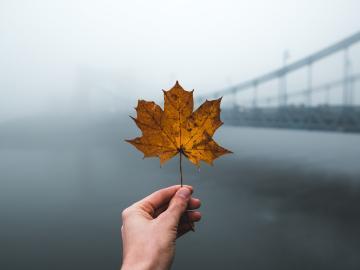 感叹人生艰难的心情说说