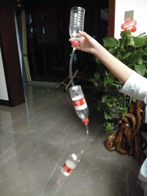 自制简易过滤器(王俐丹科学作业)