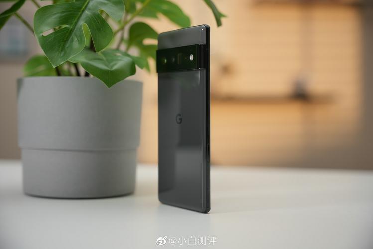 谷歌pixel6pro图赏小白测评真机实拍pixel6