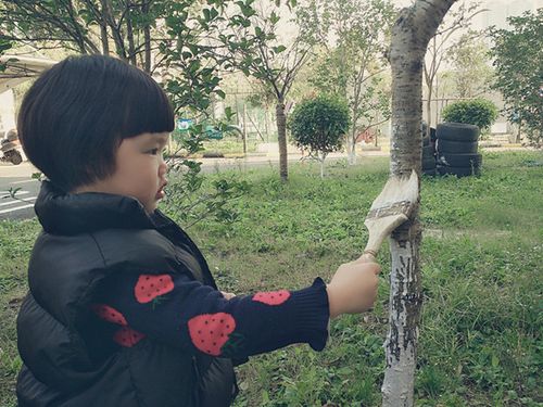 如皋市如城光华幼儿园:我为小树穿冬衣