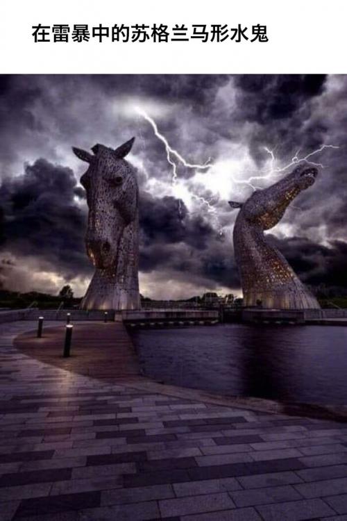 一组诱发巨物恐惧症图片赏头皮一紧或乐此不疲