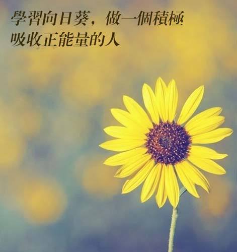 写给自己霸气励志的简短语录 正能量满满的阳光句子