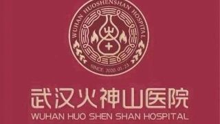 原创 火神山医院logo,用易经怎么诠释?肺为金,火百炼而化,早克瘟疫