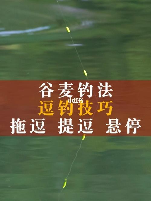 谷麦钓法逗钓技巧干货:拖逗,提逗的实操演_垂钓_户外