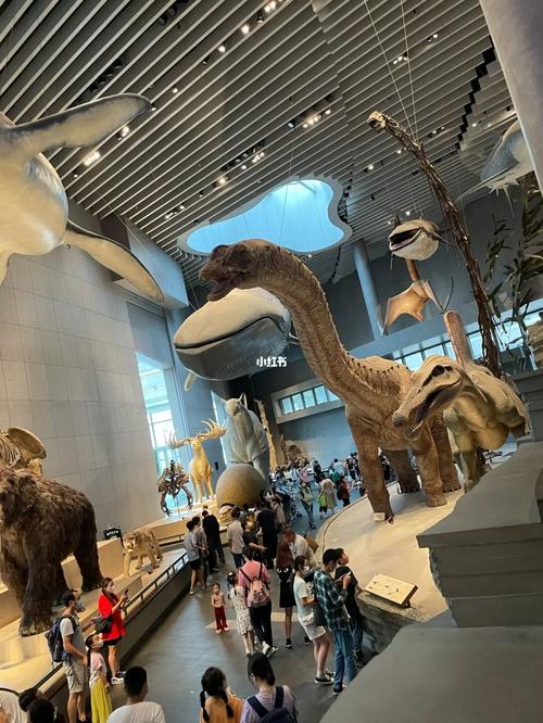 上海自然博物馆之恐龙篇