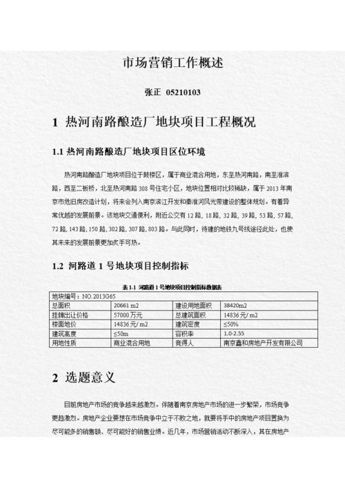 (工作概述.docx