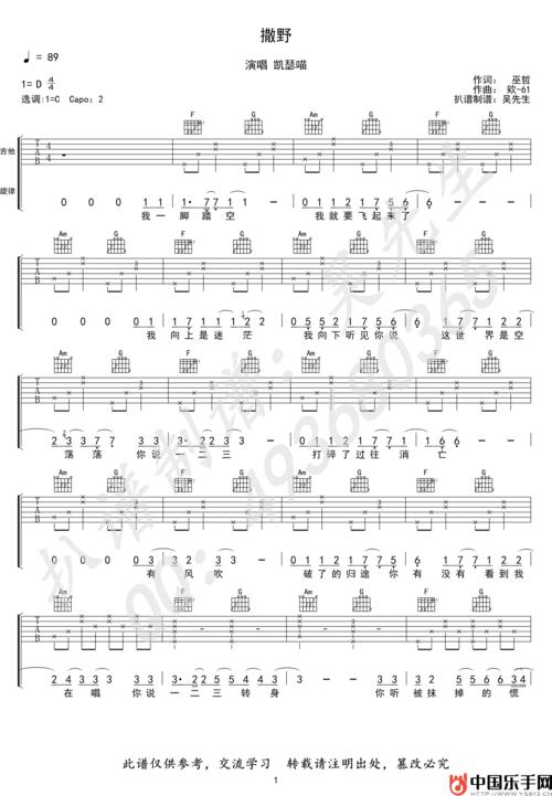 巫哲《撒野》小说主题曲吉他谱c调弹唱谱