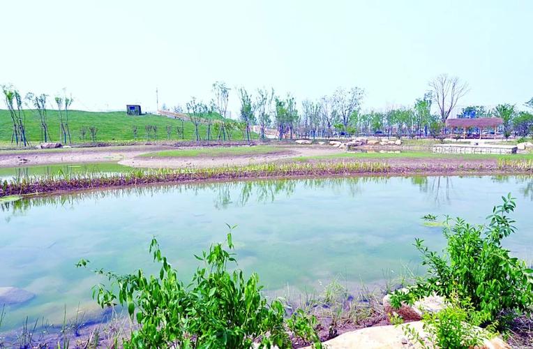 盐城湿地公园,来了!走,五一去"打卡"