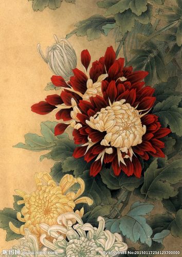 工笔国画菊花高清图a3幅面图片