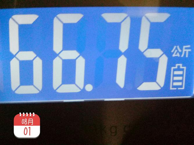 减肥记录掉到67kg以下啦