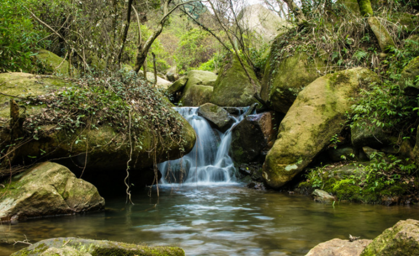 五月慈溪旅游景点哪里好玩?慈溪个人自驾旅游攻略推荐