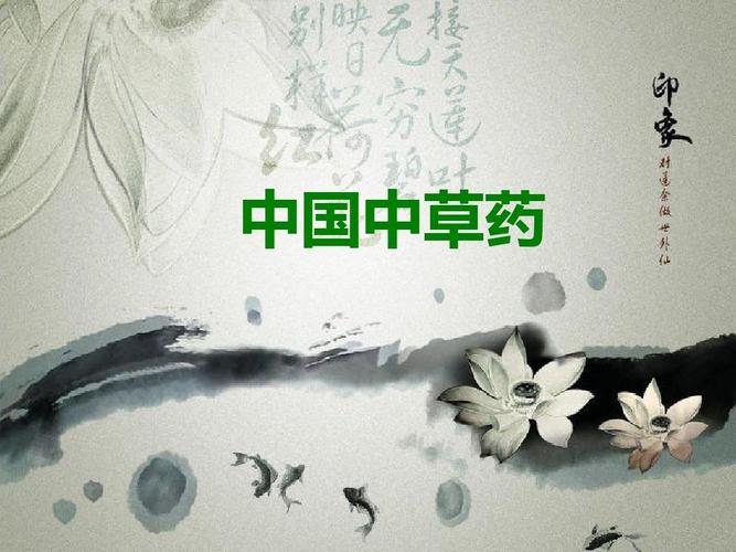 中国中草药