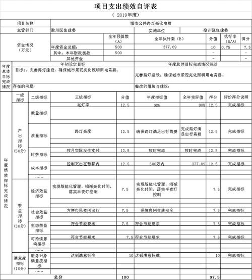 项目支出绩效自评表(城市公共路灯亮化电费)