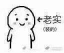 老实装的_老实表情