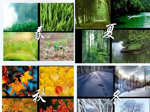 1.四季的色彩