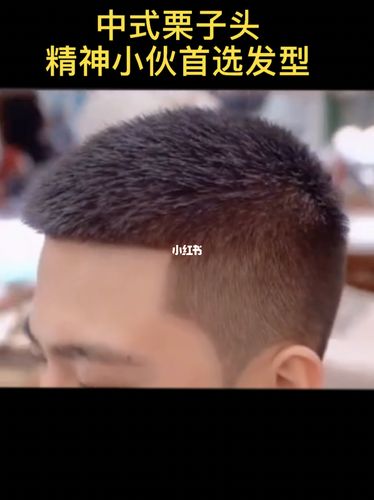 73男士栗子头 男生短发发型 精神小伙发型 整体干净整洁 给人一种