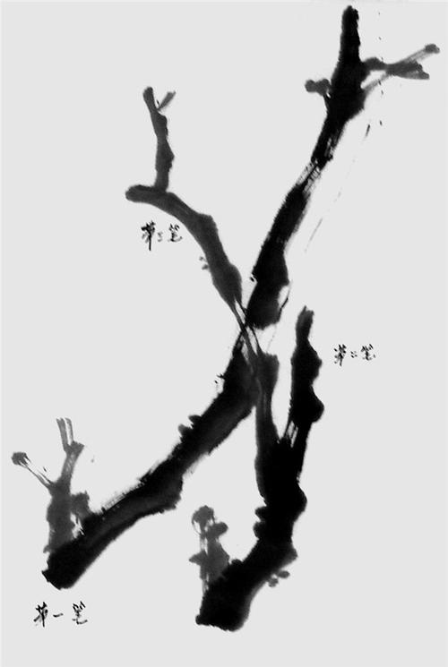 国画牡丹花的画法入门