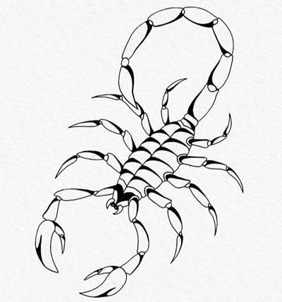 27张黑白蝎子纹身手稿素材图片