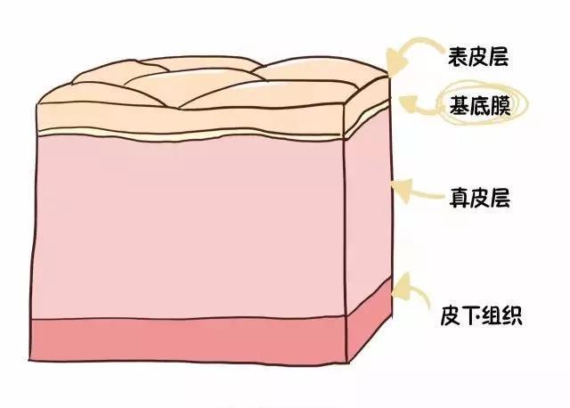 悦尔医美好吗这是你了解的玻尿酸吗