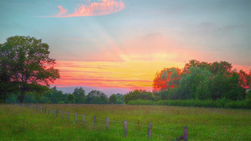 清新唯美田园美景电脑桌面壁纸桌面壁纸风景壁纸_[1680x1050]尺寸
