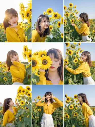 拍摄建议:  穿和向日葵一样的黄色裙子或衣服最好了,色彩和谐统一