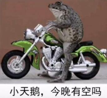 小天鹅给个机会表情包
