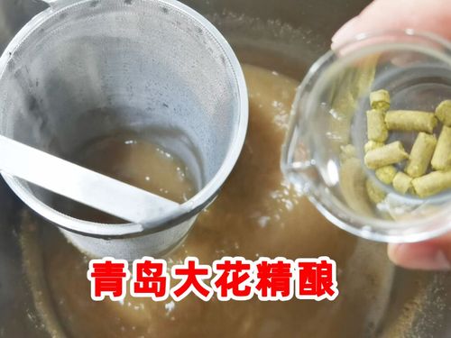 用国产青岛大花酒花自酿啤酒_啤酒_美食_美食教程