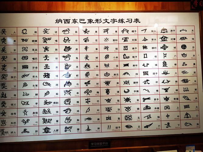 纳西族东巴文,一种象形文字,据说仍在使用中.