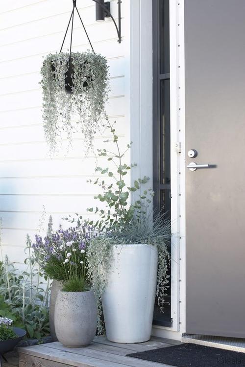 gray jacket grayer entrance | kukkala