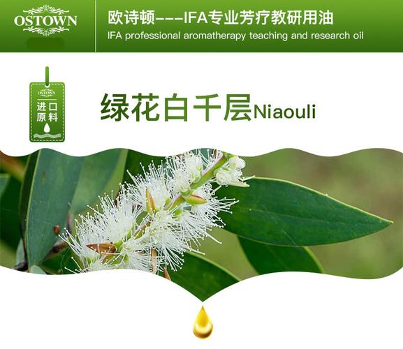 进口沉香醇绿花白千层白茶树单方精油原料 ifa芳疗 美容院香薰spa