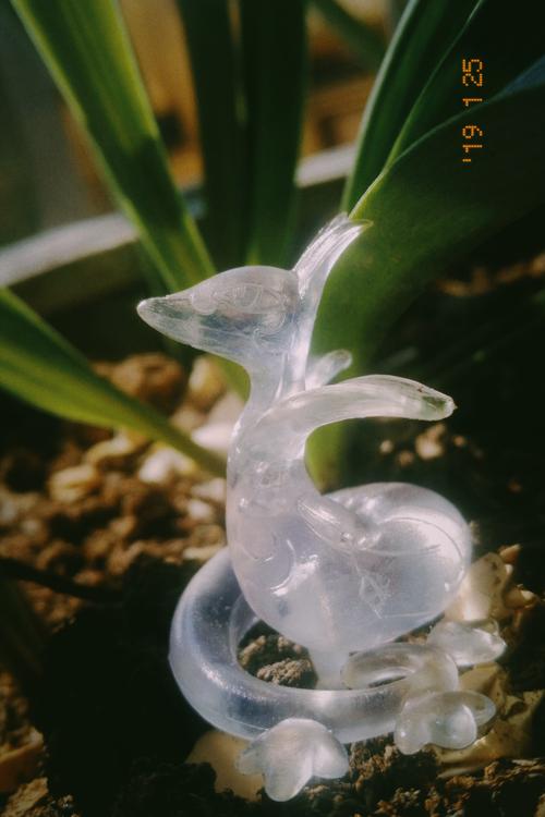 如何在家养一只小小的盒蛋透明的君主蛇篇