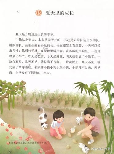 部编版六年级上册第15课夏天里的成长知识点图文解读