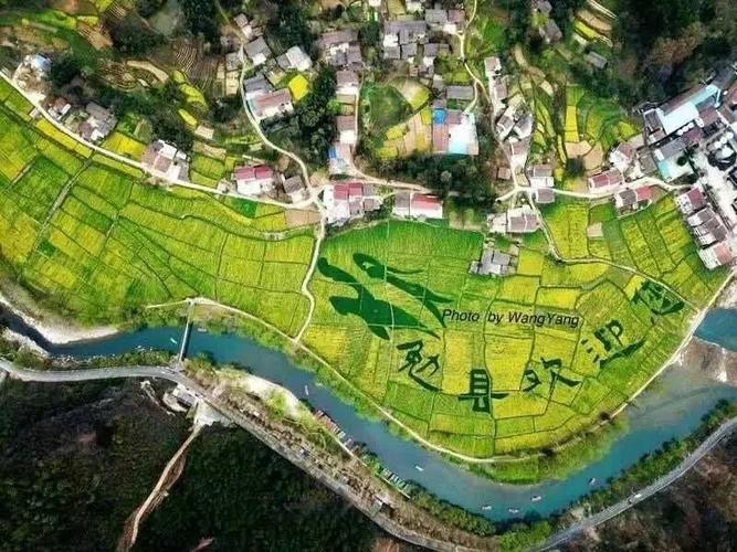 划竹筏比赛 活动时间:6月14—6月17日 活动地点:勉县元墩镇龙湾景区