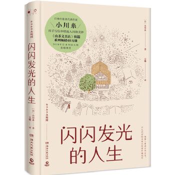 闪闪发光的人生