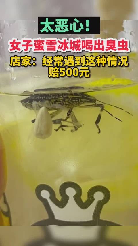女子喝蜜雪冰城杯内现臭虫 店家:经常遇到这种情况,赔500元