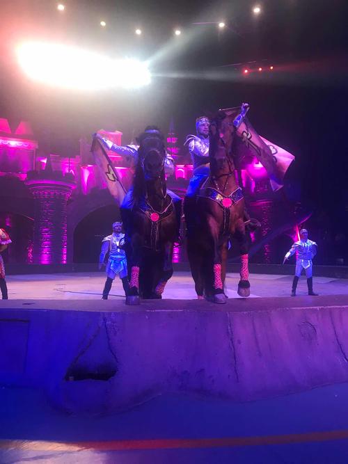 常州淹城野生动物园   优惠票(儿童票,老人票)(送马戏表演 观光小火车