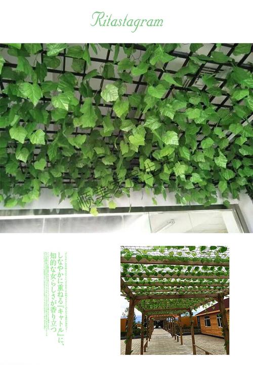 假花藤条绿藤装饰花假树叶仿真葡萄吊顶房顶绿叶塑料叶子藤蔓 81片
