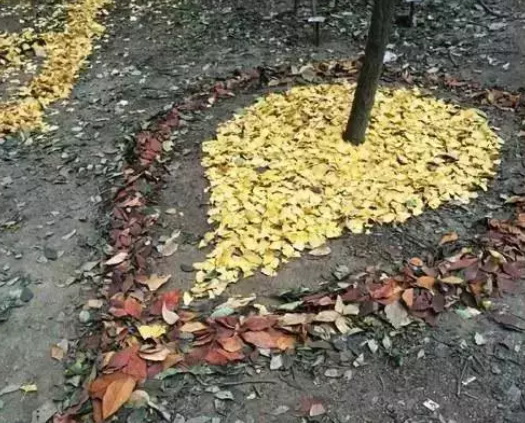 【有趣】银杏版emoji表情包