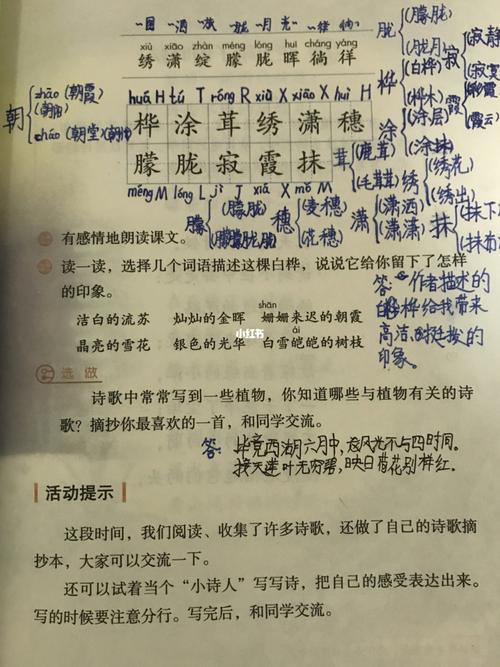 四年级下册人教版第三单元课文第十一课课文《白桦》
