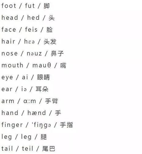 背诵丨小学英语24类单词大全(附音标),为孩子收藏!
