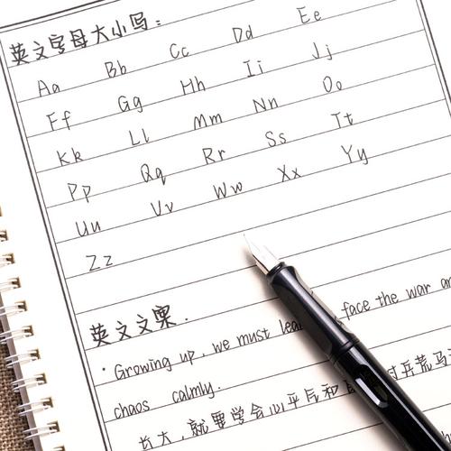 昭亭轩挽鸢体英文手写字帖女生字体漂亮练字中英硬笔网红神仙行书