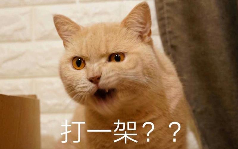 今日王者令人窒息的沙雕操作.