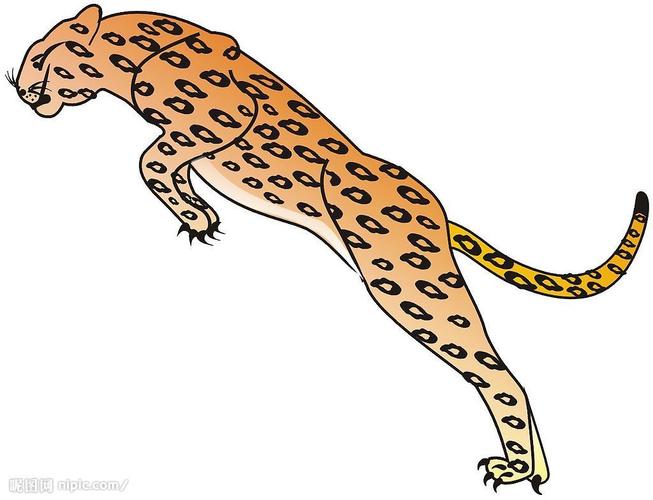 飞豹矢量图__野生动物_生物世界_矢量图库_昵图网.