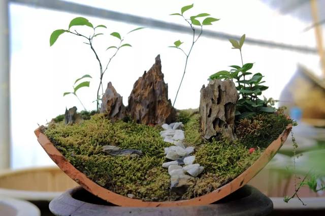 在王户口,亲手制作陶艺微景观,村里还免费提供陶罐