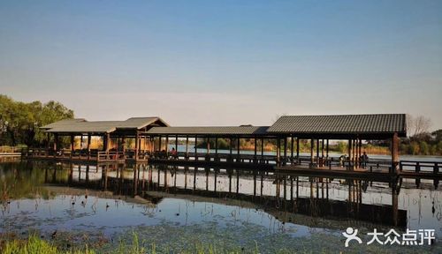 春暖花开,阳光正好,漫步渤公岛.渤公岛生态公园