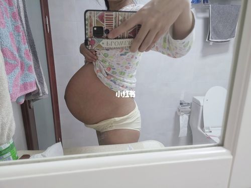 33周双胎孕肚,希望能撑到足月_双胞胎_母婴_孕产经验