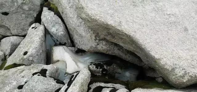 《西游记》中的临夏——双叉岭唐僧遭遇猛兽