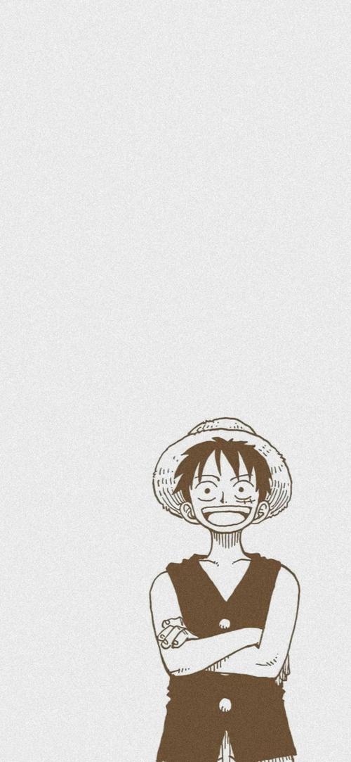 海贼王路飞 索隆 动漫壁纸(1)